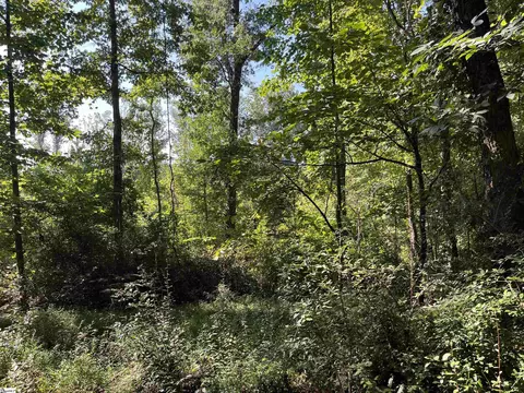 00 Porter St, Wellford, SC 29385