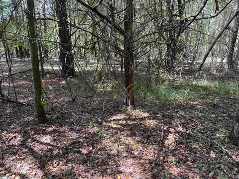 0 Tubbs Mountain Rd #LOT 0004, Travelers Rest, SC 29690