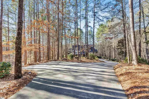 311 Top Rdg, Sunset, SC 29685 photo 4
