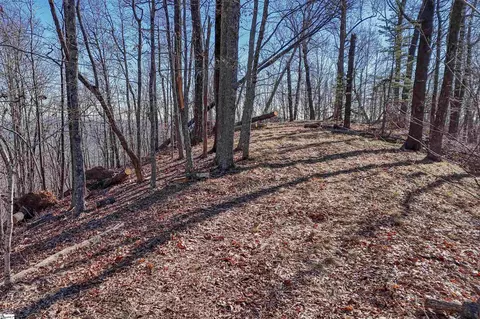 00 High Meadows Dr, Pickens, SC 29671 photo 20