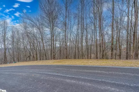 153 Catnip Trl, Landrum, SC 29356
