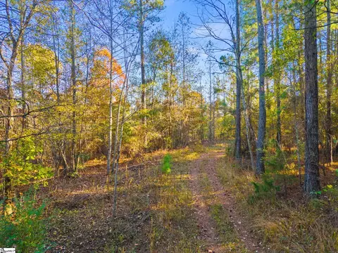 13755 Neely Ferry Rd, Waterloo, SC 29384 photo 4