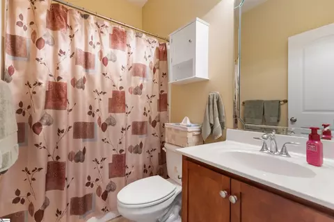 Bath - 271 Silver Hawk Dr, Duncan, SC 29334 photo 1 of 2