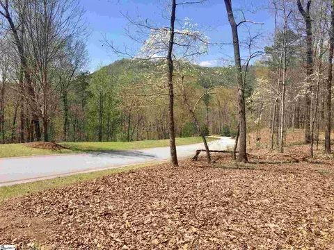 110 Black Knight Trl, Travelers Rest, SC 29690