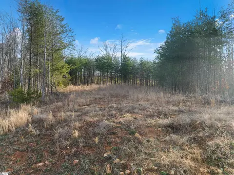 113 Pinelands Pl, Travelers Rest, SC 29690