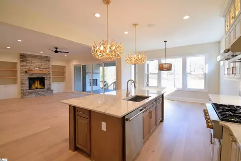 711 Enoree River Pl, Greer, SC 29651 photo 11