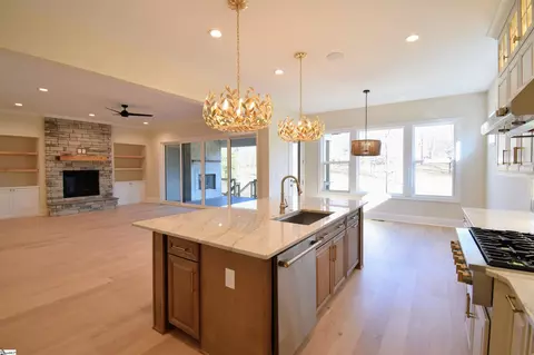 711 Enoree River Pl, Greer, SC 29651 photo 9