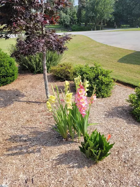 Exterior - 393 Pine Dr, Greer, SC 29651 photo 7 of 7