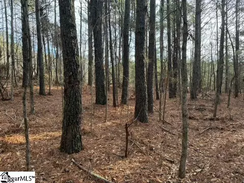 Looper Road, Easley, SC 29640 photo 11