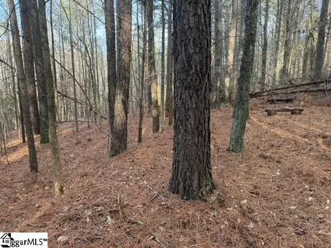 Looper Road, Easley, SC 29640 photo 9