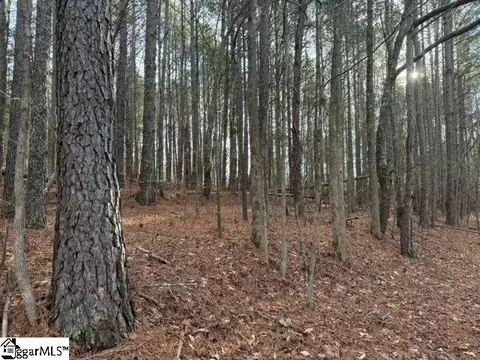 Looper Road, Easley, SC 29640 photo 5