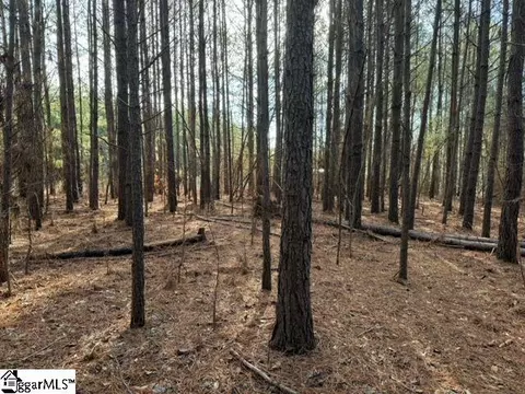Looper Road, Easley, SC 29640 photo 14