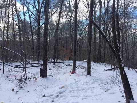 00 Old Fox Squirrel Ridge Rd, Pickens, SC 29671