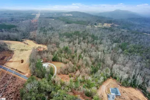 0 Arledge Rd, Landrum, SC 29356 photo 8