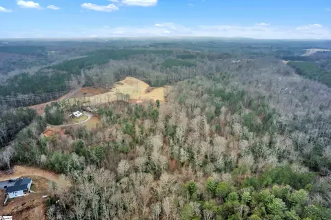 0 Arledge Rd, Landrum, SC 29356 photo 9
