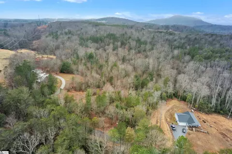 0 Arledge Rd, Landrum, SC 29356 photo 6