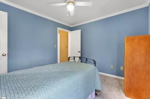 9 Briar Park Dr, Greer, SC 29651 photo 24