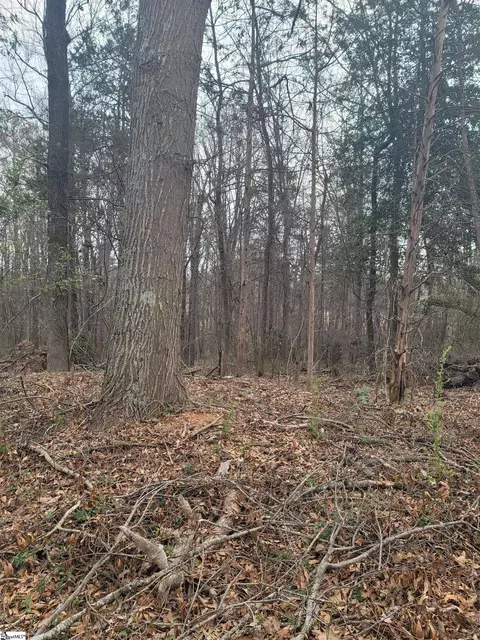 Thompson Road, Greenville, SC 29607