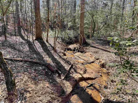 00 Old Hundred Rd, Pelzer, SC 29669 photo 18