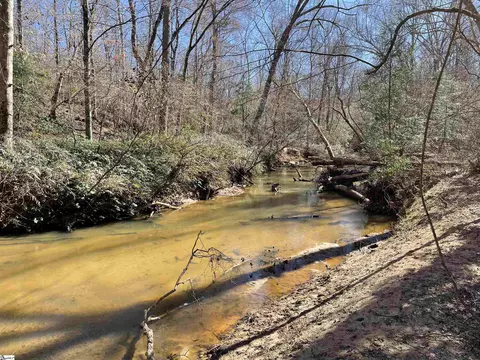 00 Old Hundred Rd, Pelzer, SC 29669 photo 25
