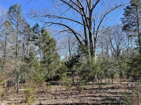 00 Old Hundred Rd, Pelzer, SC 29669 photo 14