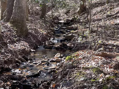 00 Old Hundred Rd, Pelzer, SC 29669 photo 21