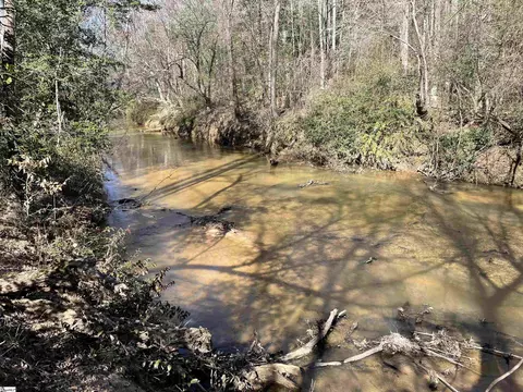 00 Old Hundred Rd, Pelzer, SC 29669 photo 29