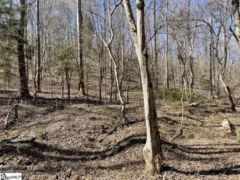 00 Old Hundred Rd, Pelzer, SC 29669 photo 24