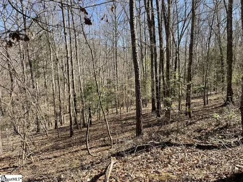 00 Old Hundred Rd, Pelzer, SC 29669 photo 15