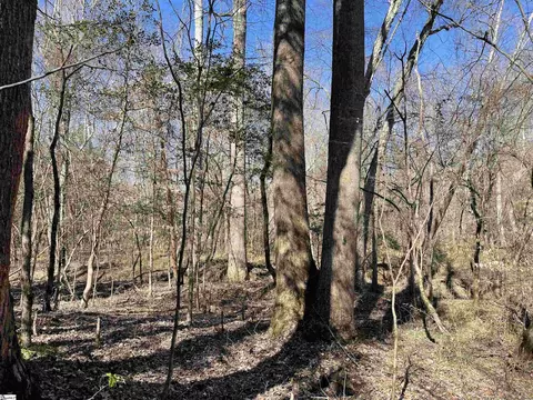 00 Old Hundred Rd, Pelzer, SC 29669 photo 19