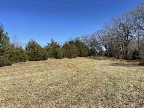 00 Old Hundred Rd, Pelzer, SC 29669 photo 31