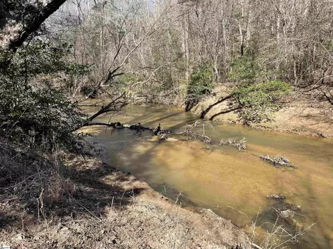 00 Old Hundred Rd, Pelzer, SC 29669 photo 28
