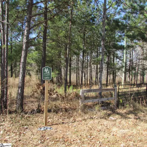 00 Mordeci Rd, Gray Court, SC 29645