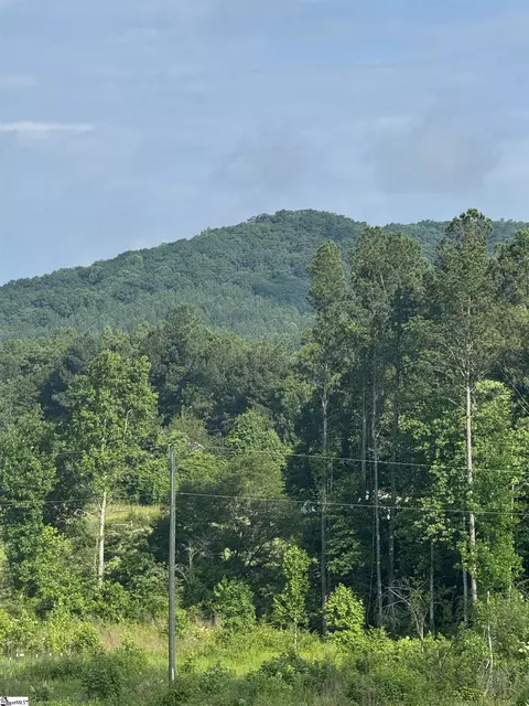 3 Hawk Lane, Easley, SC 29640 photo 9