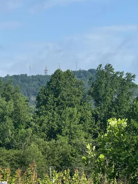 3 Hawk Lane, Easley, SC 29640 photo 3