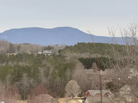 113 Elevation Ct, Greer, SC 29651 photo 24