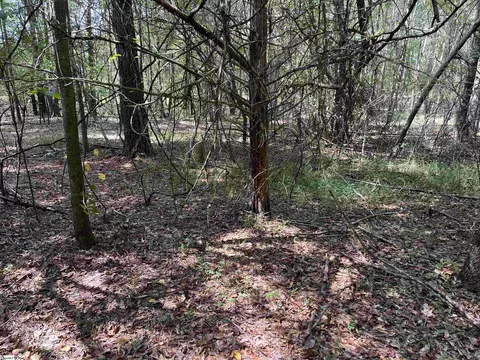 0 Tubbs Mountain Rd #LOT 0002, Travelers Rest, SC 29690