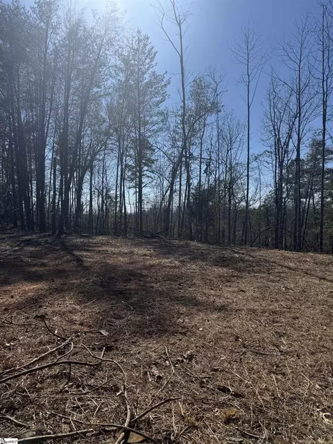 19 Sawblade Rdg, Marietta, SC 29661