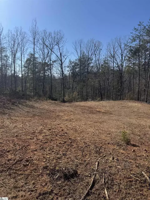 21 Sawblade Rdg, Marietta, SC 29661