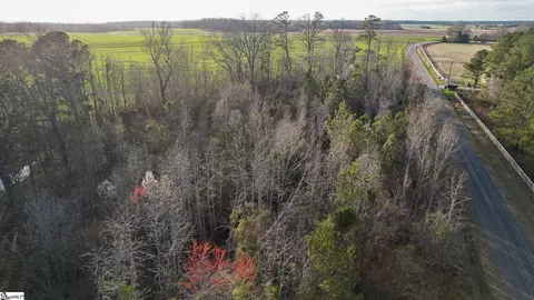 024 Hobby Ln, Kinards, SC 29355 photo 15