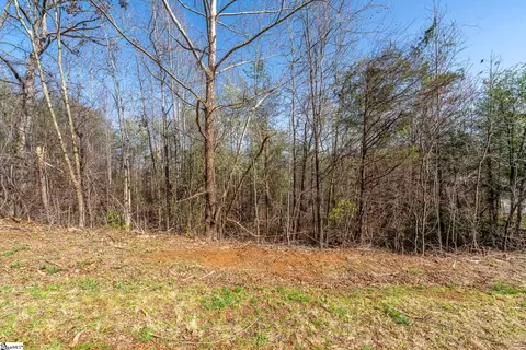 10 Sawblade Rdg, Marietta, SC 19661