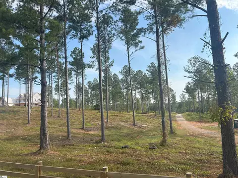 301 Berry Rd, Pelzer, SC 29669 photo 1