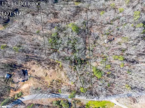 00 Echo Ridge Dr, Marietta, SC 29635 photo 3