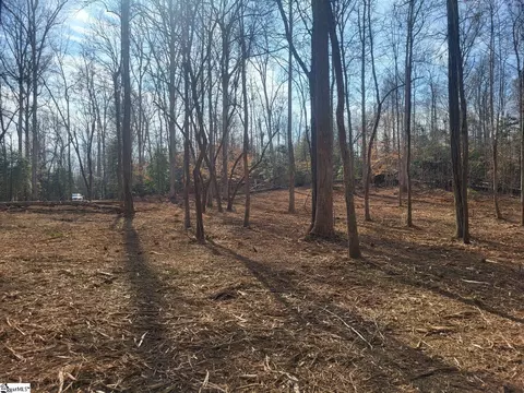 861 Williams Rd, Pelzer, SC 29669 photo 5