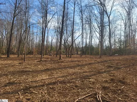 861 Williams Rd, Pelzer, SC 29669 photo 3