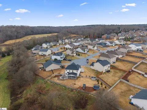 View/Area - 15 Harwick Ct, Easley, SC 29642 photo 7 of 8