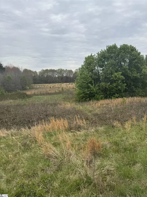 0 Highway 17 #LOT 1, Piedmont, SC 29673