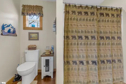 Bath - 140 Oshields Rd, Easley, SC 29640 photo 2 of 3