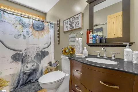 Bath - 140 Oshields Rd, Easley, SC 29640 photo 3 of 3