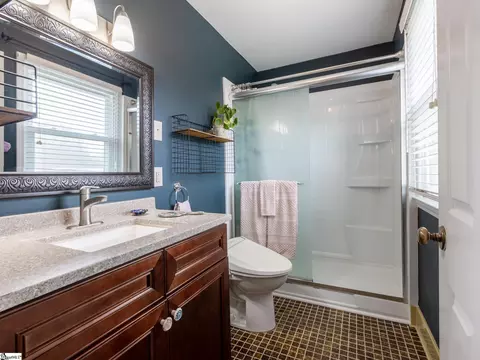 Bath - 207 Hedgewood Ter, Greer, SC 29650 photo 7 of 9